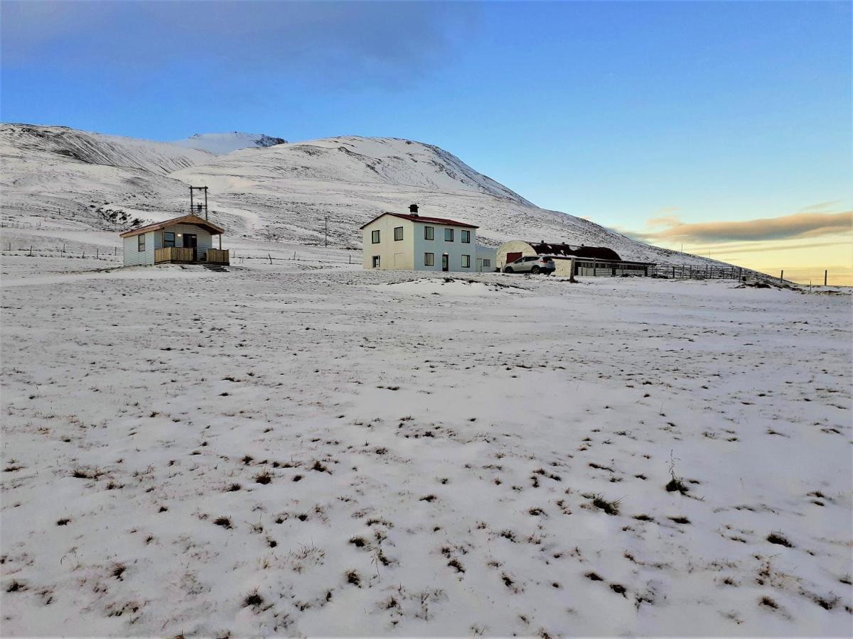 Skarth Guesthouse Saudarkrokur Exterior foto